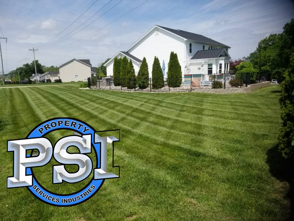 Lawncare 1