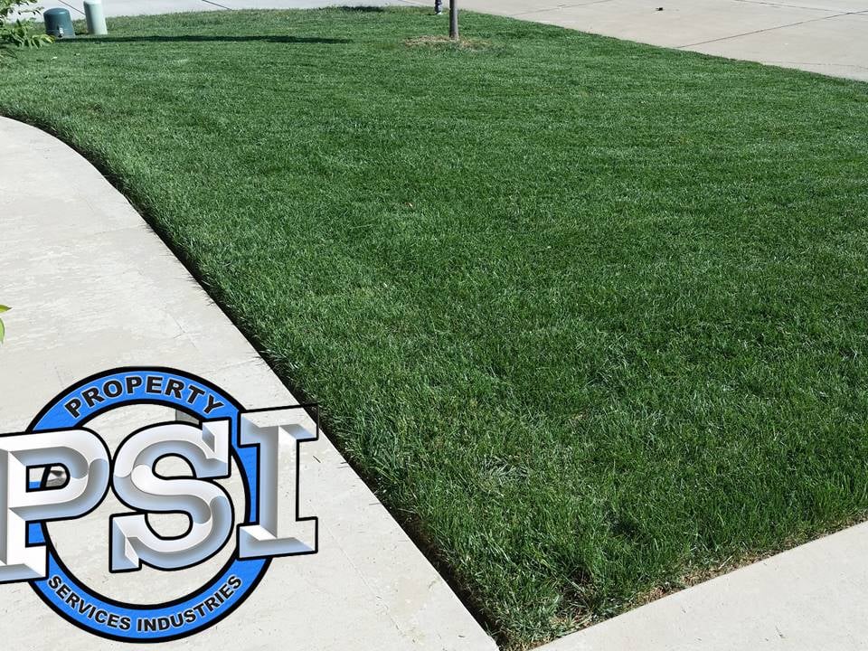 Lawncare 10